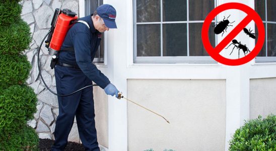 Konya Gümüşkurt İlaçlama böcek ilaçlama ve haşere kontrolü — ilaclama-tr.com